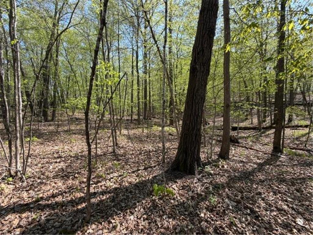 48990 County Highway 17 Candor Twp MN 56587 7078000 image19