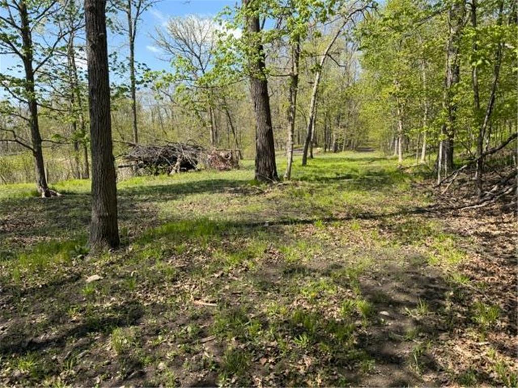 48990 County Highway 17 Candor Twp MN 56587 7078000 image20