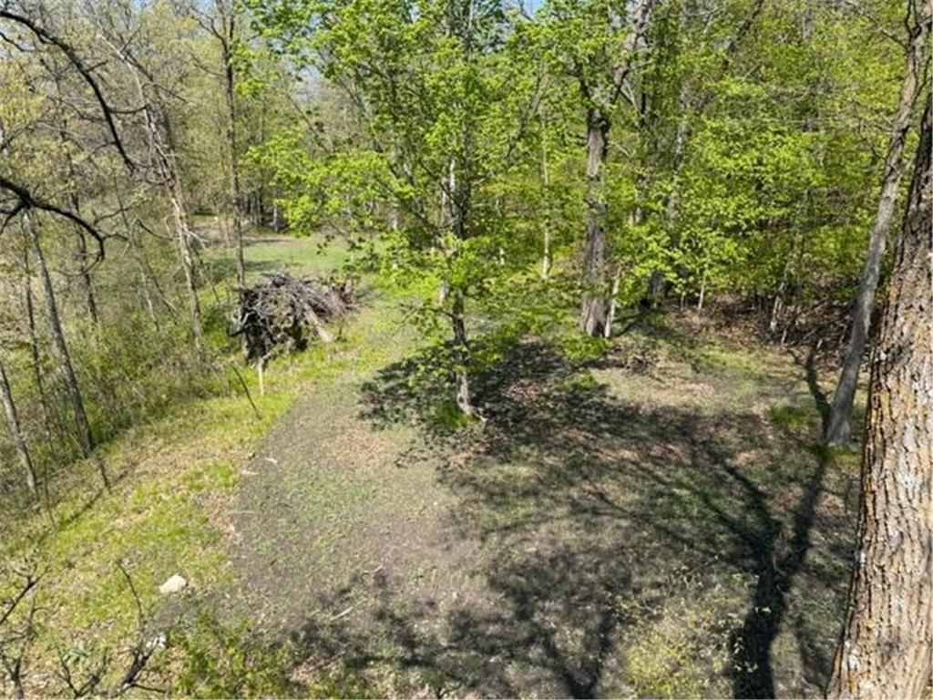 48990 County Highway 17 Candor Twp MN 56587 7078000 image21