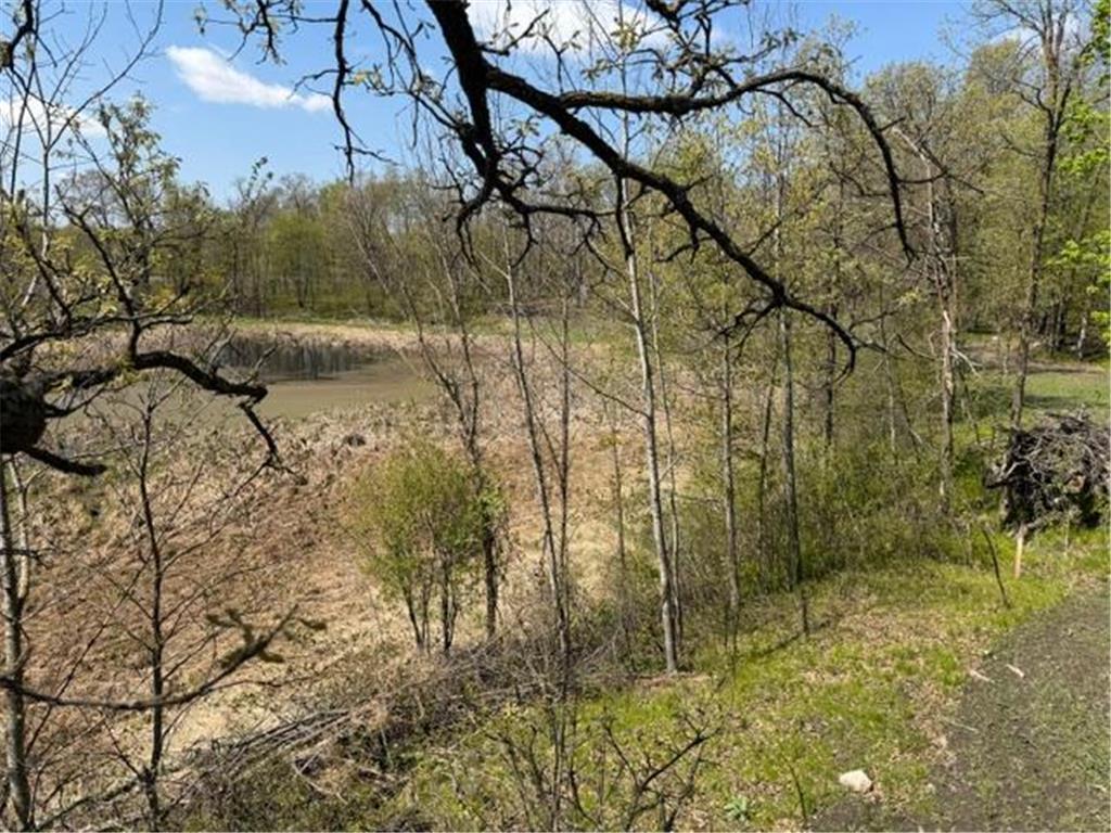 48990 County Highway 17 Candor Twp MN 56587 7078000 image22