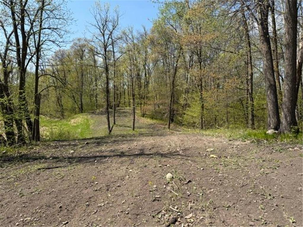 48990 County Highway 17 Candor Twp MN 56587 7078000 image23