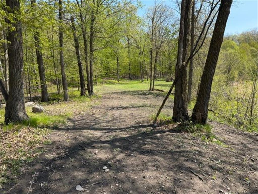 48990 County Highway 17 Candor Twp MN 56587 7078000 image24