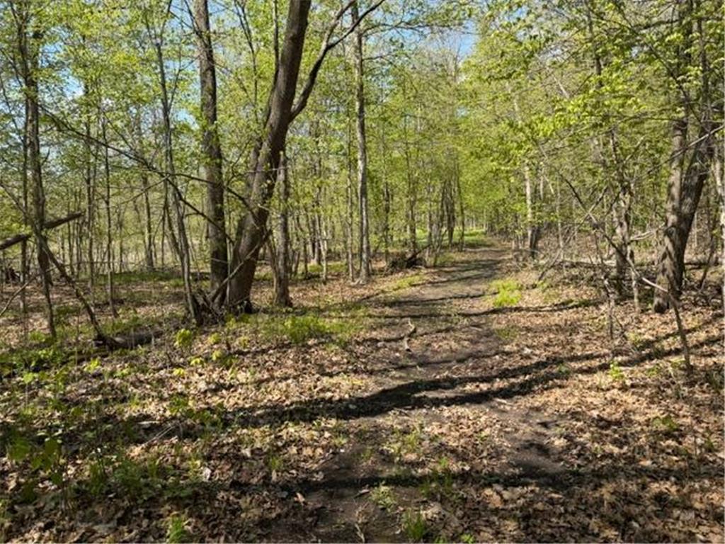 48990 County Highway 17 Candor Twp MN 56587 7078000 image25