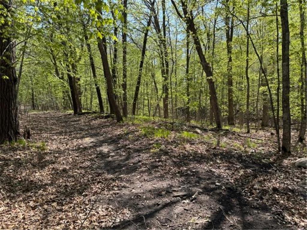 48990 County Highway 17 Candor Twp MN 56587 7078000 image26