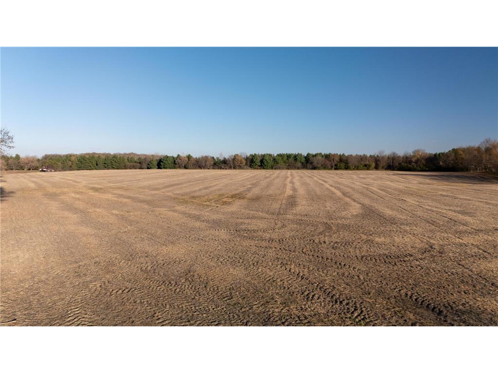 48XXX Anchor Avenue Nessel Twp MN 55080 6814865 image10