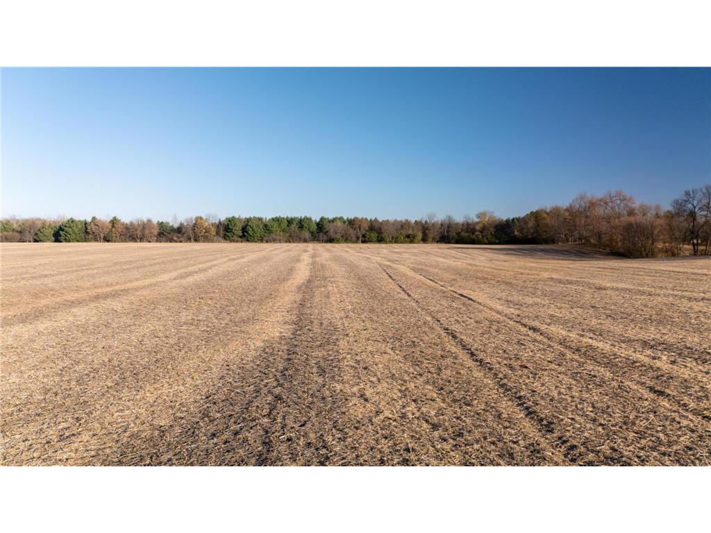 48XXX Anchor Avenue Nessel Twp MN 55080 6814865 image11