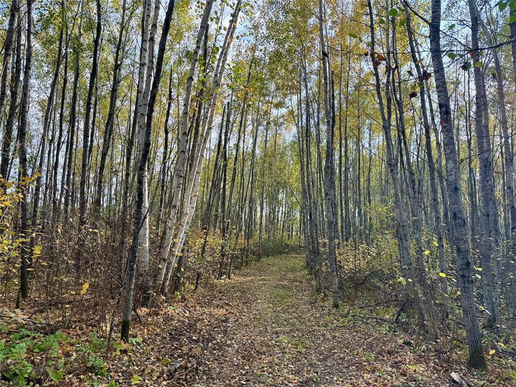 48XYZ Deerfield Road Kerrick Twp MN 55783 6799677 image1