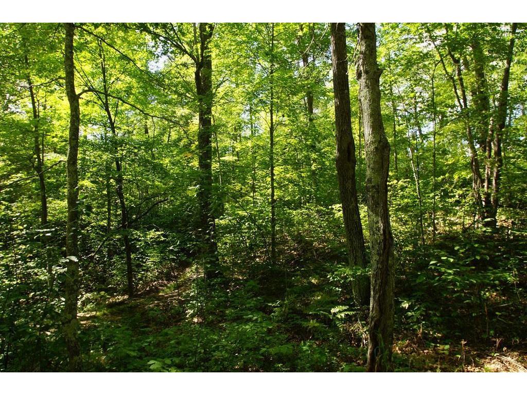 48xx White Birch Drive NE Longville MN 56672 6594541 image1