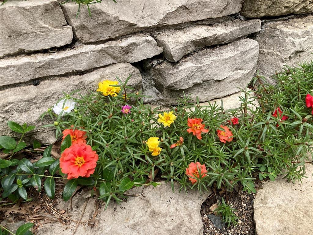 49 Sheridan Avenue S Minneapolis MN 55405 7022264 image30