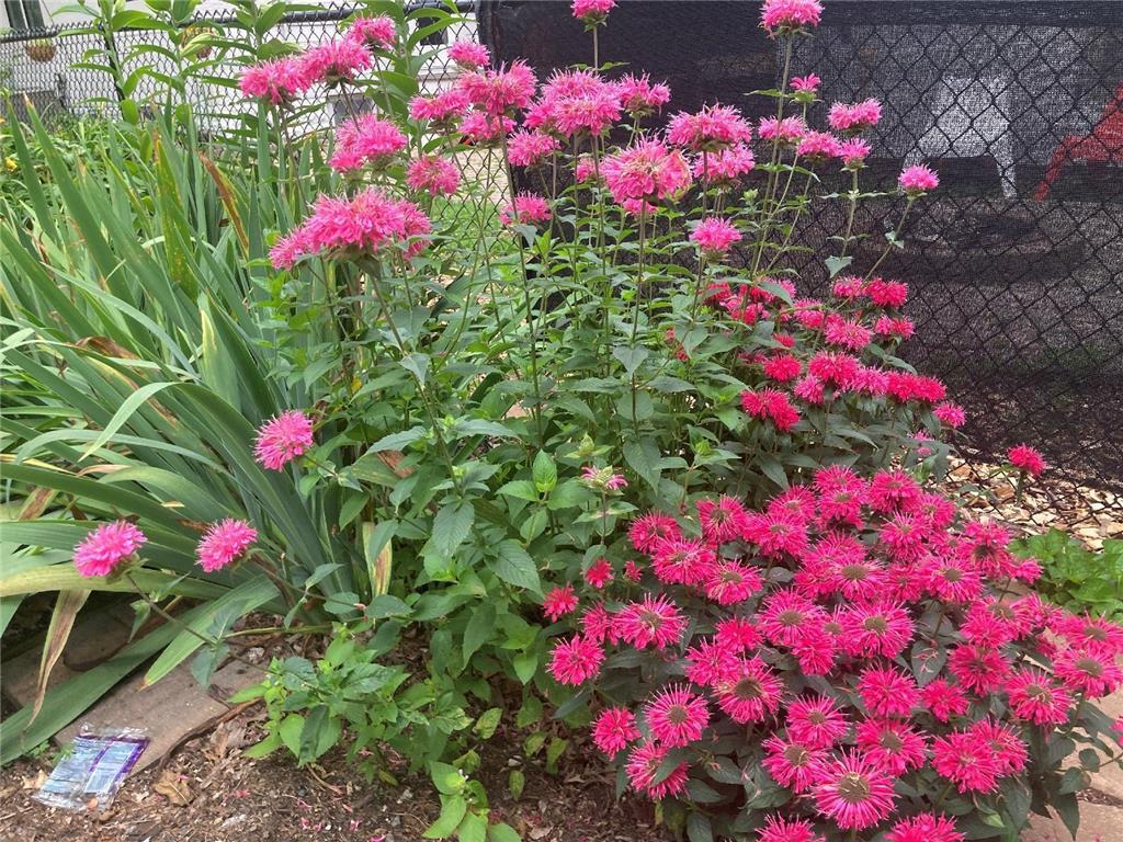 49 Sheridan Avenue S Minneapolis MN 55405 7022264 image31