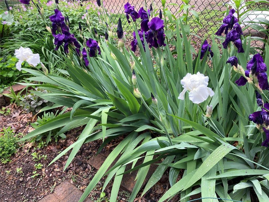 49 Sheridan Avenue S Minneapolis MN 55405 7022264 image32