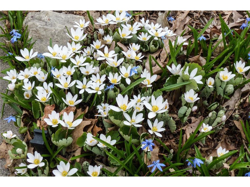 49 Sheridan Avenue S Minneapolis MN 55405 7022264 image35