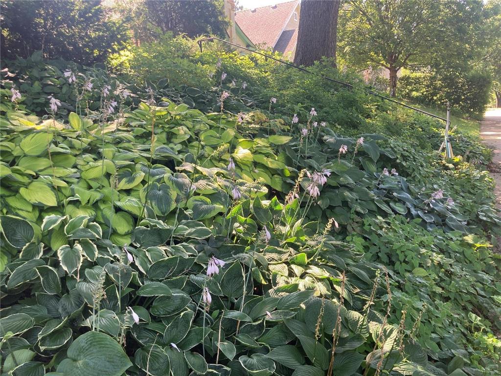 49 Sheridan Avenue S Minneapolis MN 55405 7022264 image37