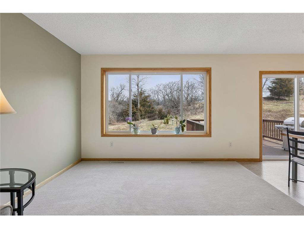 49 Windsor Wood Path Hudson WI 54016 7052886 image10