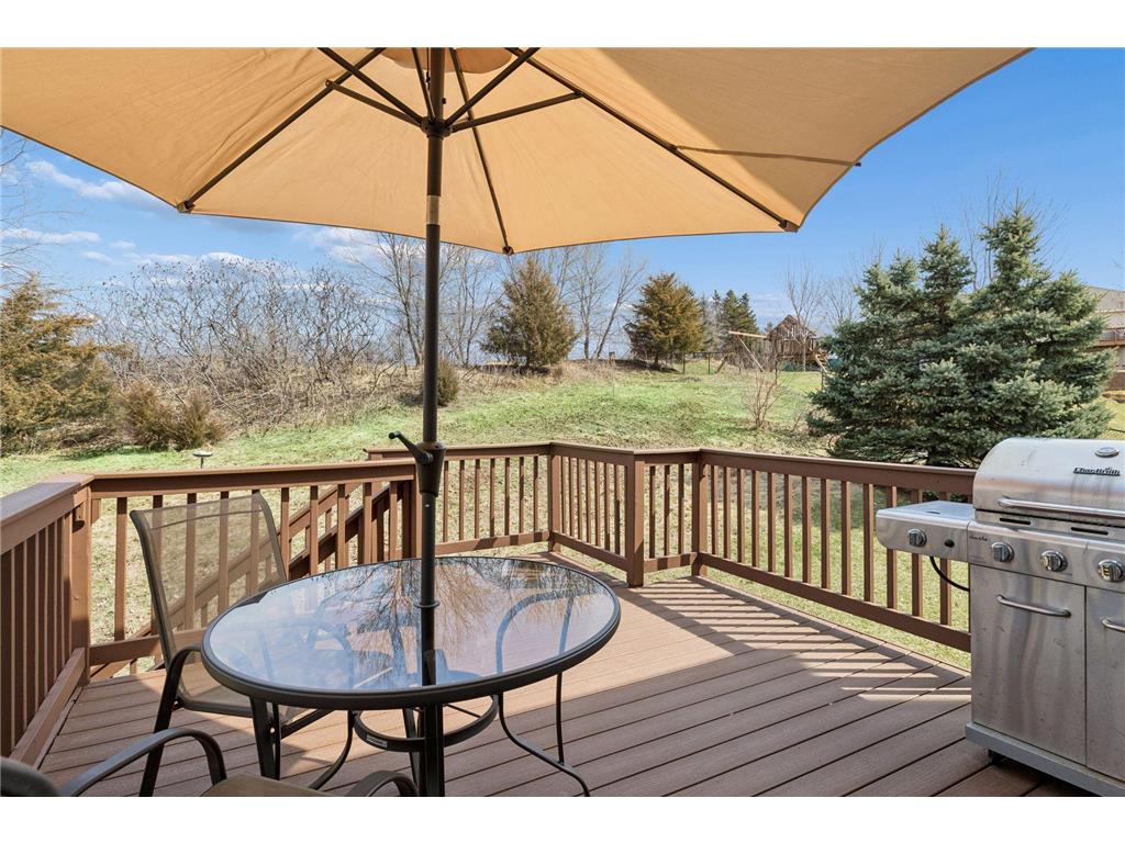 49 Windsor Wood Path Hudson WI 54016 7052886 image33