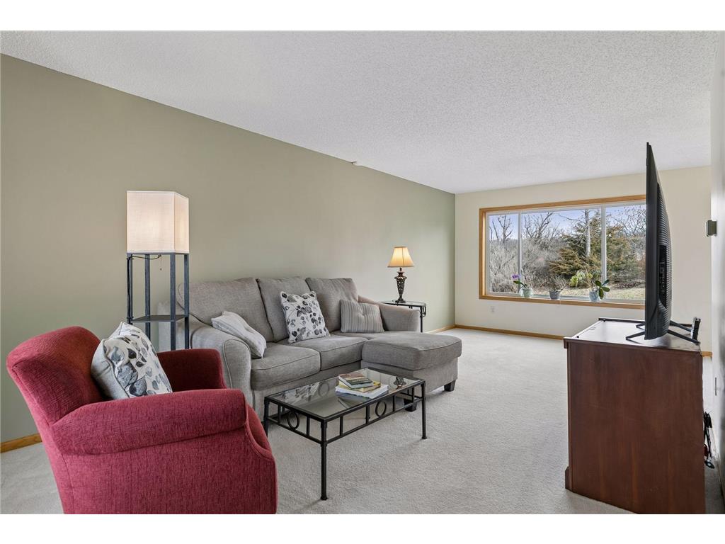 49 Windsor Wood Path Hudson WI 54016 7052886 image6