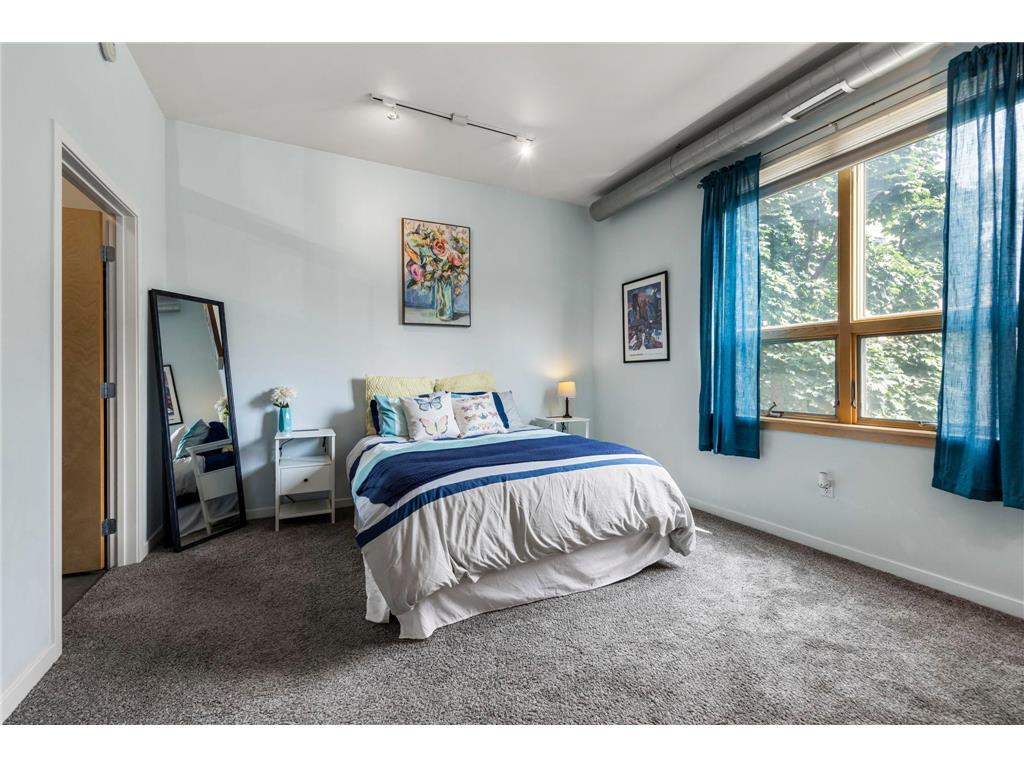 490 N Temperance Street #204 Saint Paul MN 55101 6771084 image21