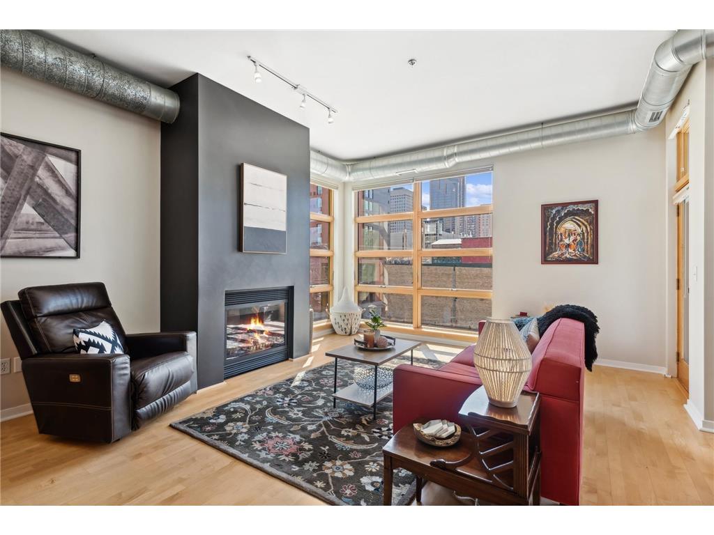 490 Temperance Street #303 Saint Paul MN 55101 6505966 image1