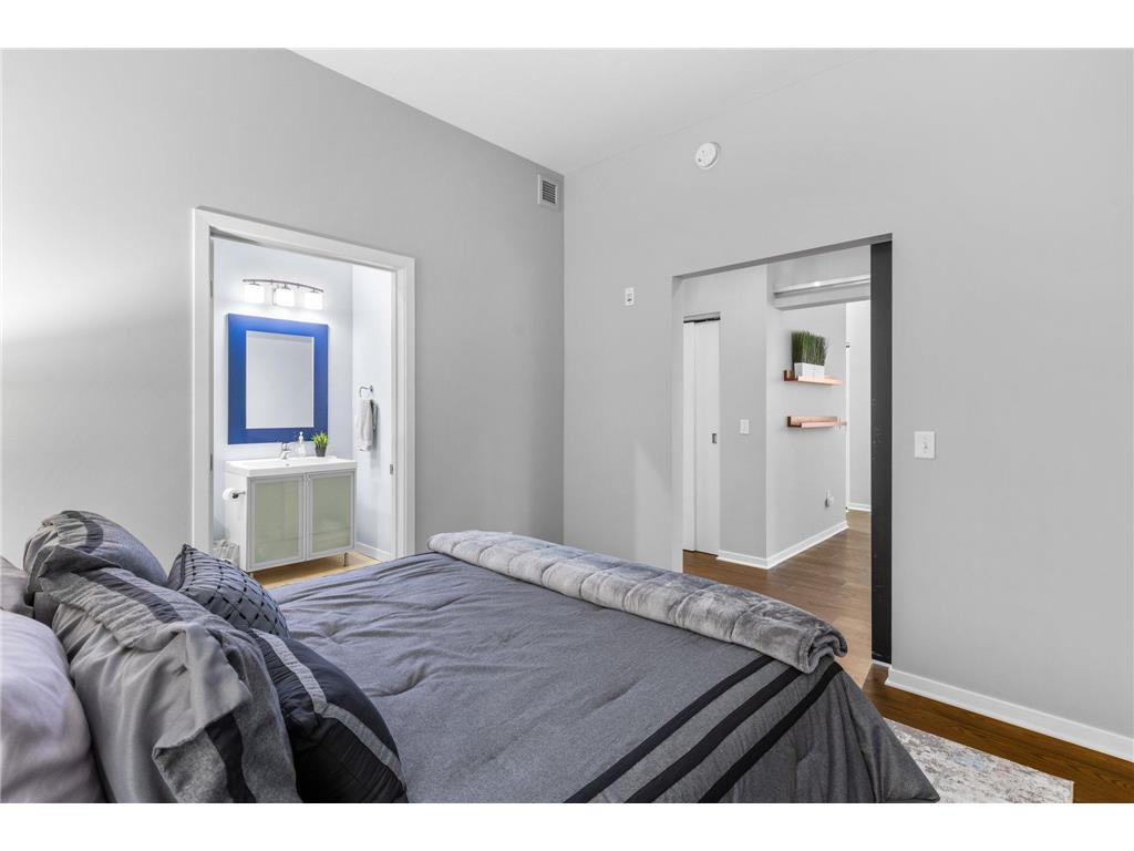 490 Temperance Street #310 Saint Paul MN 55101 6792623 image16