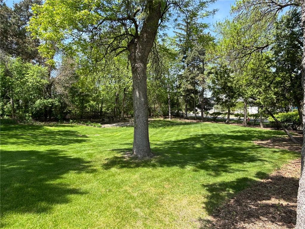 4900 Lakeview Drive Edina MN 55424 - Harvey 7104526 image6