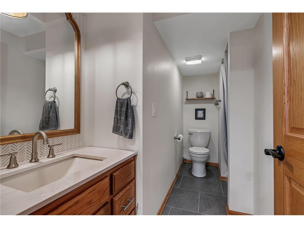 4909 County Road 9 NE Green Lake Twp MN 56201 7055856 image17