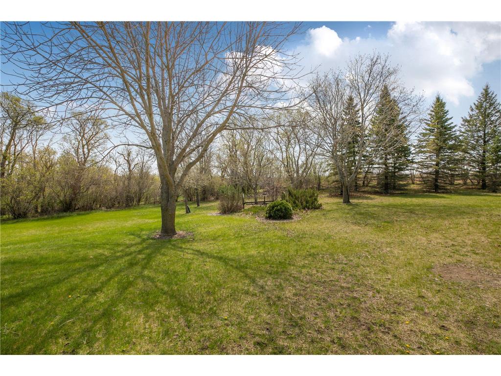 4909 County Road 9 NE Green Lake Twp MN 56201 7055856 image60