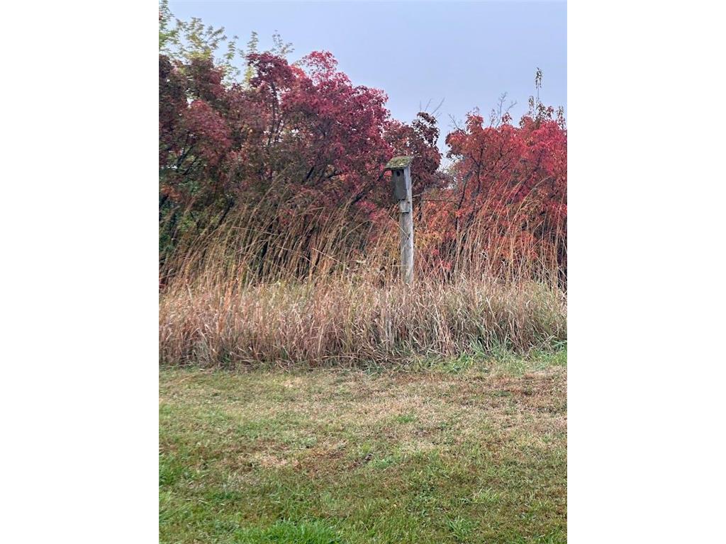 4909 County Road 9 NE Green Lake Twp MN 56201 7055856 image65