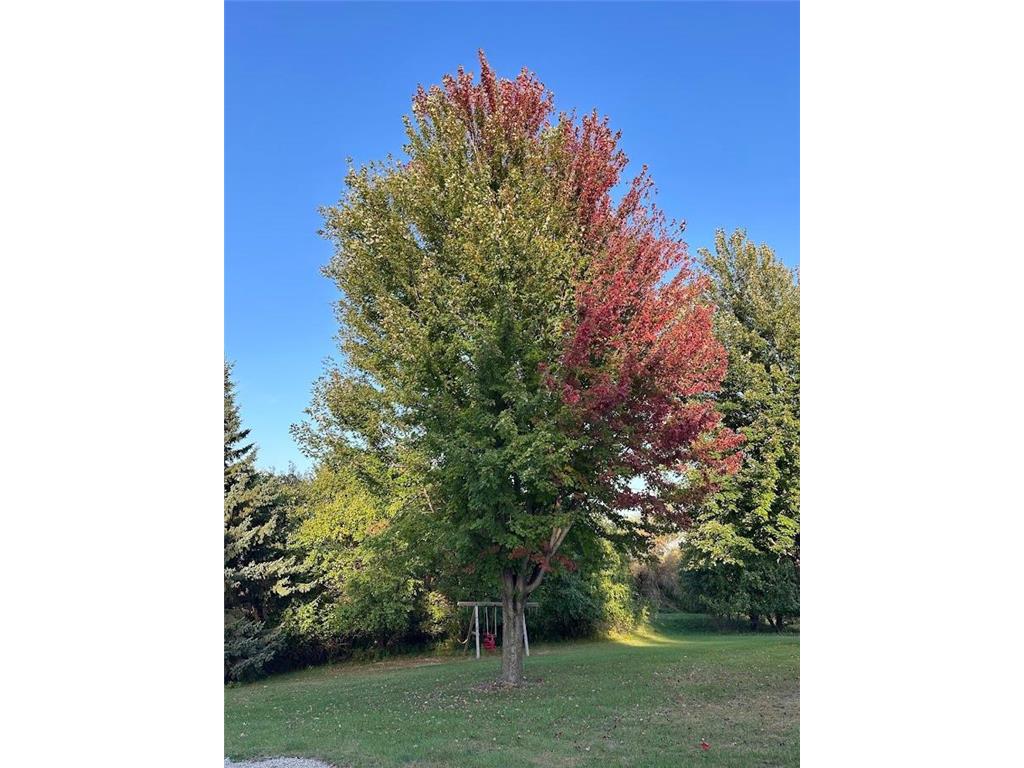 4909 County Road 9 NE Green Lake Twp MN 56201 7055856 image66