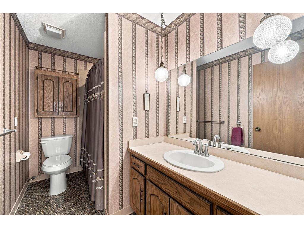 4909 Three Points Boulevard Mound MN 55364 - Lake Minnetonka 7102974 image18