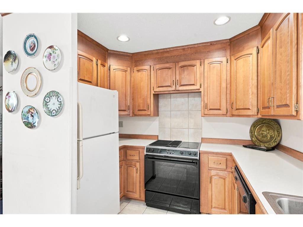 4909 Three Points Boulevard Mound MN 55364 - Lake Minnetonka 7102974 image8