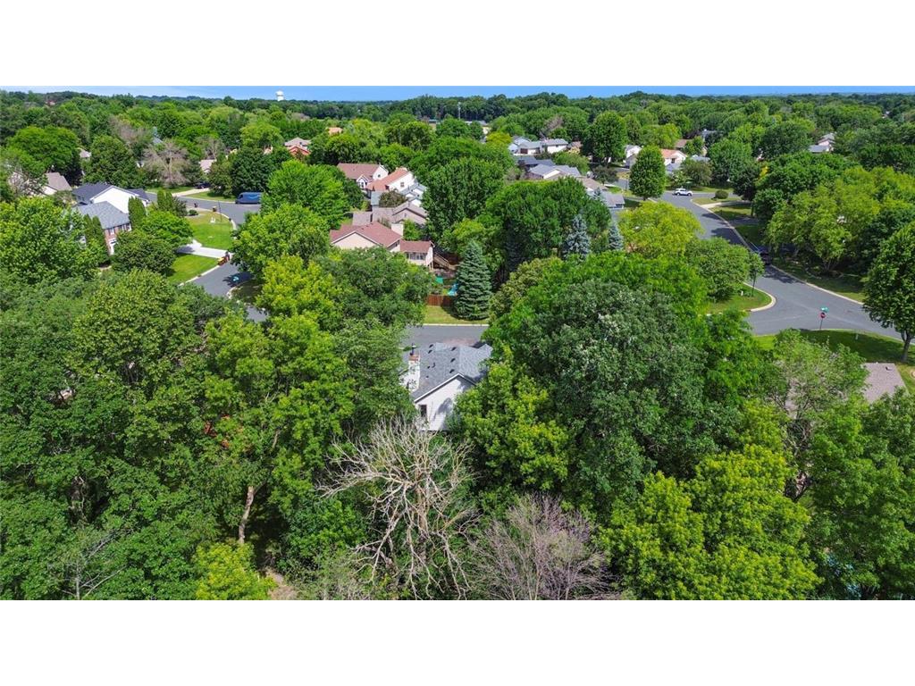 4909 W 150th Street Savage MN 55378 7091003 image48