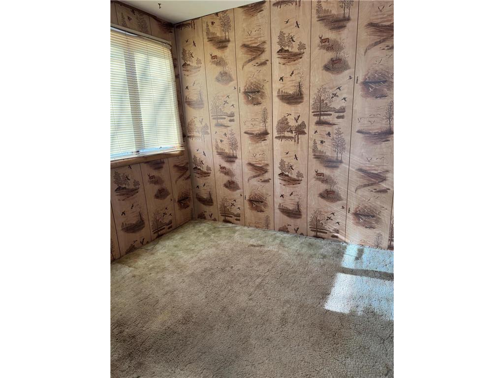 491 3rd Avenue SE Wells MN 56097 7008424 image13