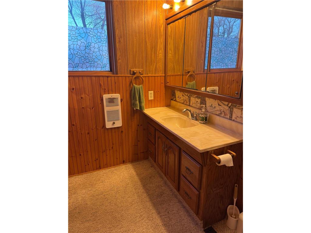 491 3rd Avenue SE Wells MN 56097 7008424 image19