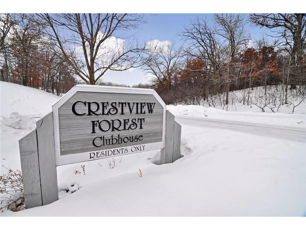 491 Sterling Street S Maplewood MN 55119 7019853 image36