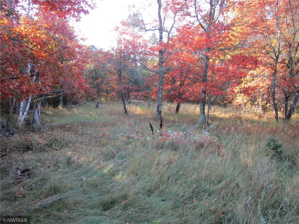 4910 Whitetail Road NE Bemidji MN 56601 6268615 image1