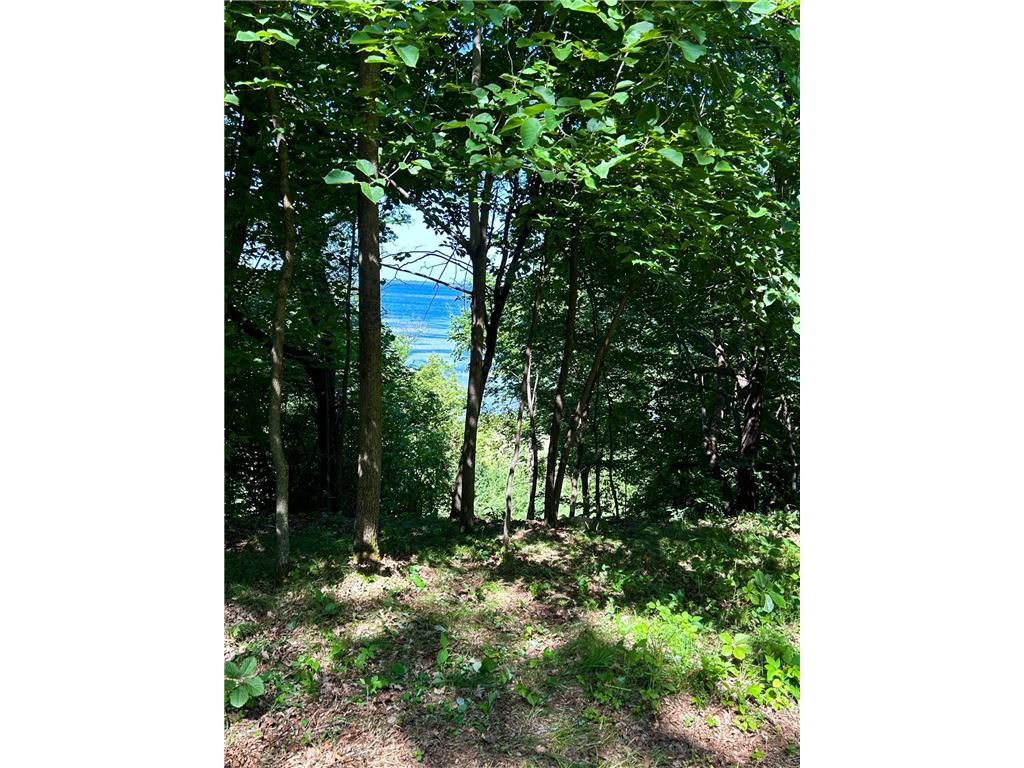 49137 360th Street Otto Twp MN 56567 - Rush Lake 7028078 image1