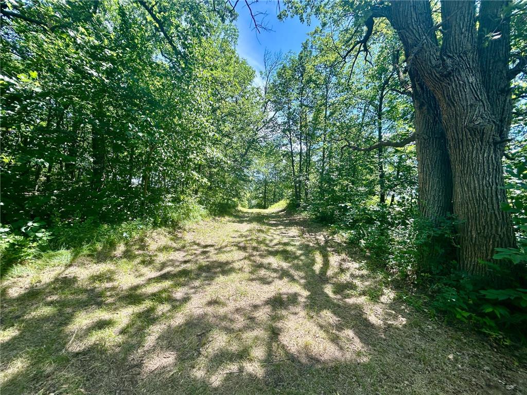 49137 360th Street Otto Twp MN 56567 - Rush Lake 7028078 image10