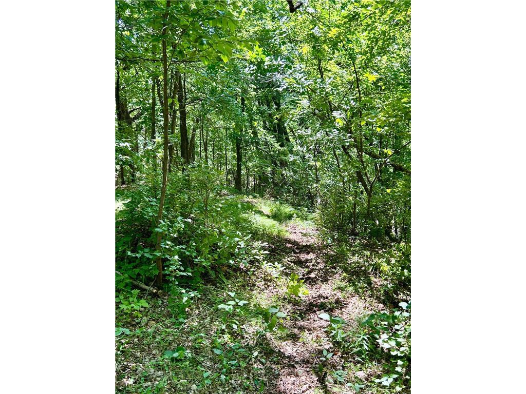 49137 360th Street Otto Twp MN 56567 - Rush Lake 7028078 image16