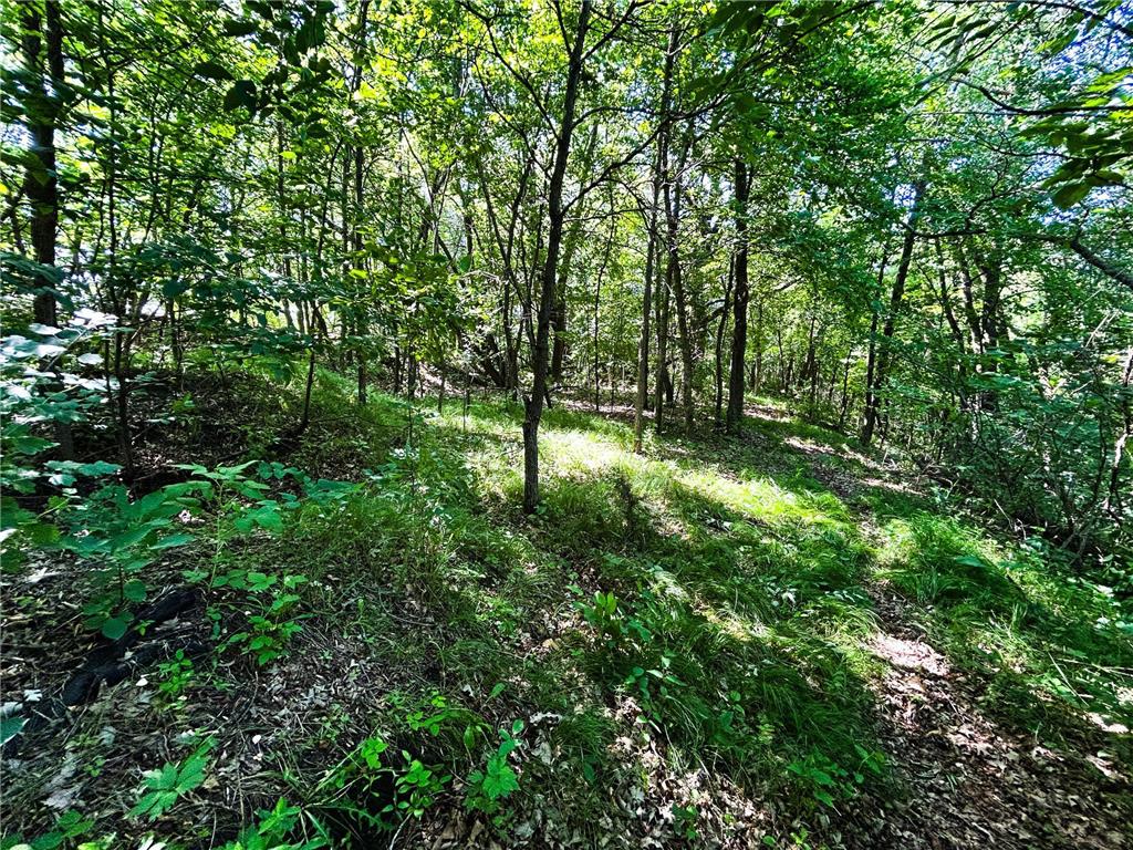 49137 360th Street Otto Twp MN 56567 - Rush Lake 7028078 image17