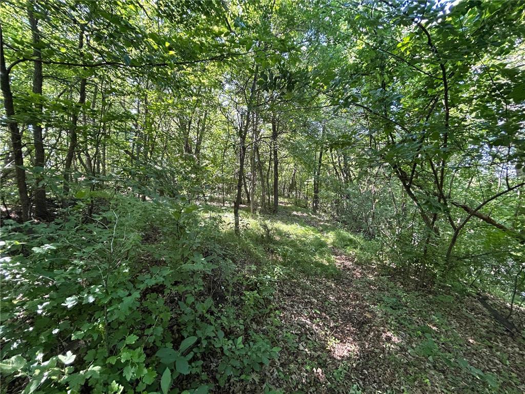 49137 360th Street Otto Twp MN 56567 - Rush Lake 7028078 image18