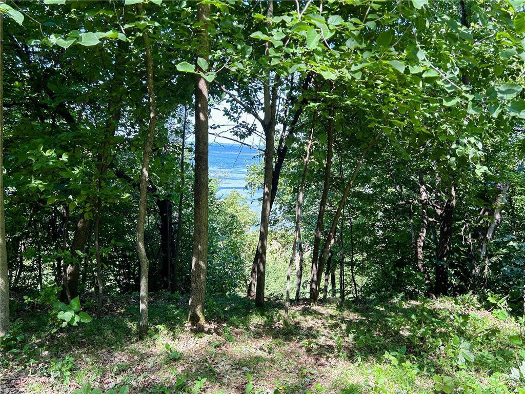 49137 360th Street Otto Twp MN 56567 - Rush Lake 7028078 image2