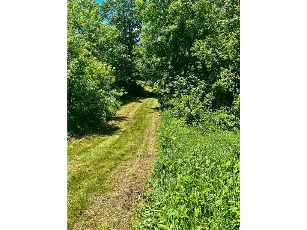 49137 360th Street Otto Twp MN 56567 - Rush Lake 7028078 image7