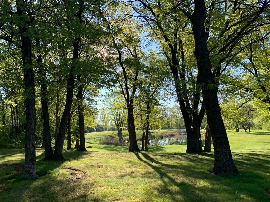 4919 County Road 141 Saint Augusta MN 56301 7078324 image10