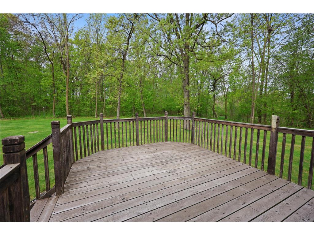 4919 County Road 141 Saint Augusta MN 56301 7078324 image20