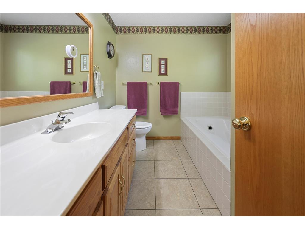 4919 County Road 141 Saint Augusta MN 56301 7078324 image43