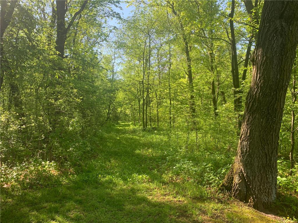 4919 County Road 141 Saint Augusta MN 56301 7078324 image71