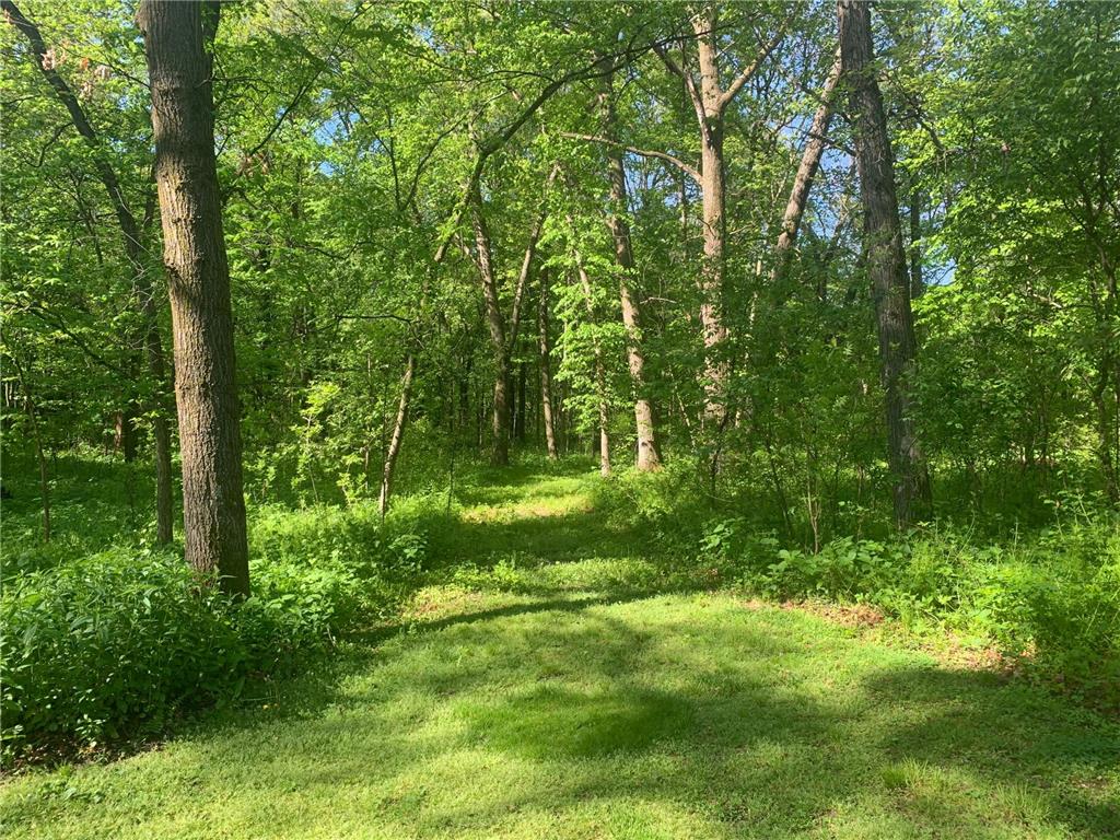 4919 County Road 141 Saint Augusta MN 56301 7078324 image72