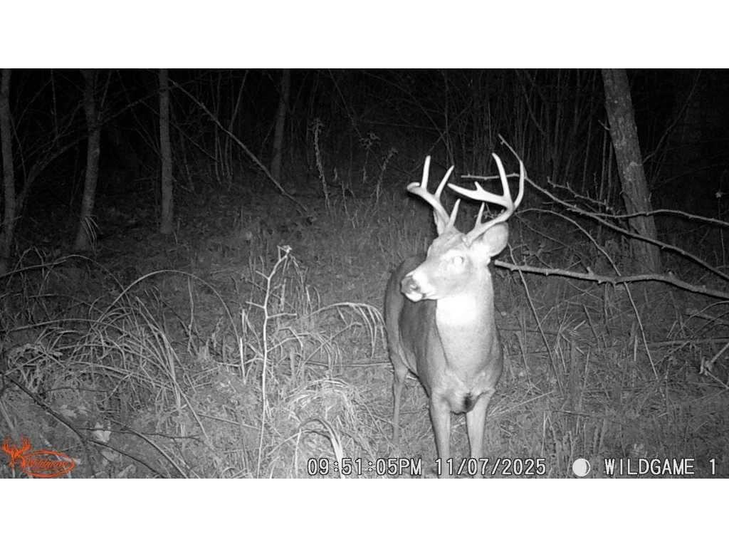 4926 Iroquois Loop Meadowbrook Twp MN 56466 6819993 image29