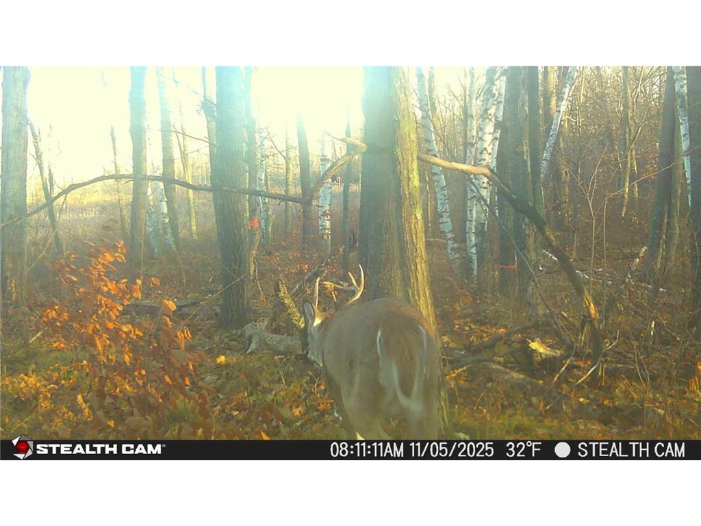 4926 Iroquois Loop Meadowbrook Twp MN 56466 6819993 image30