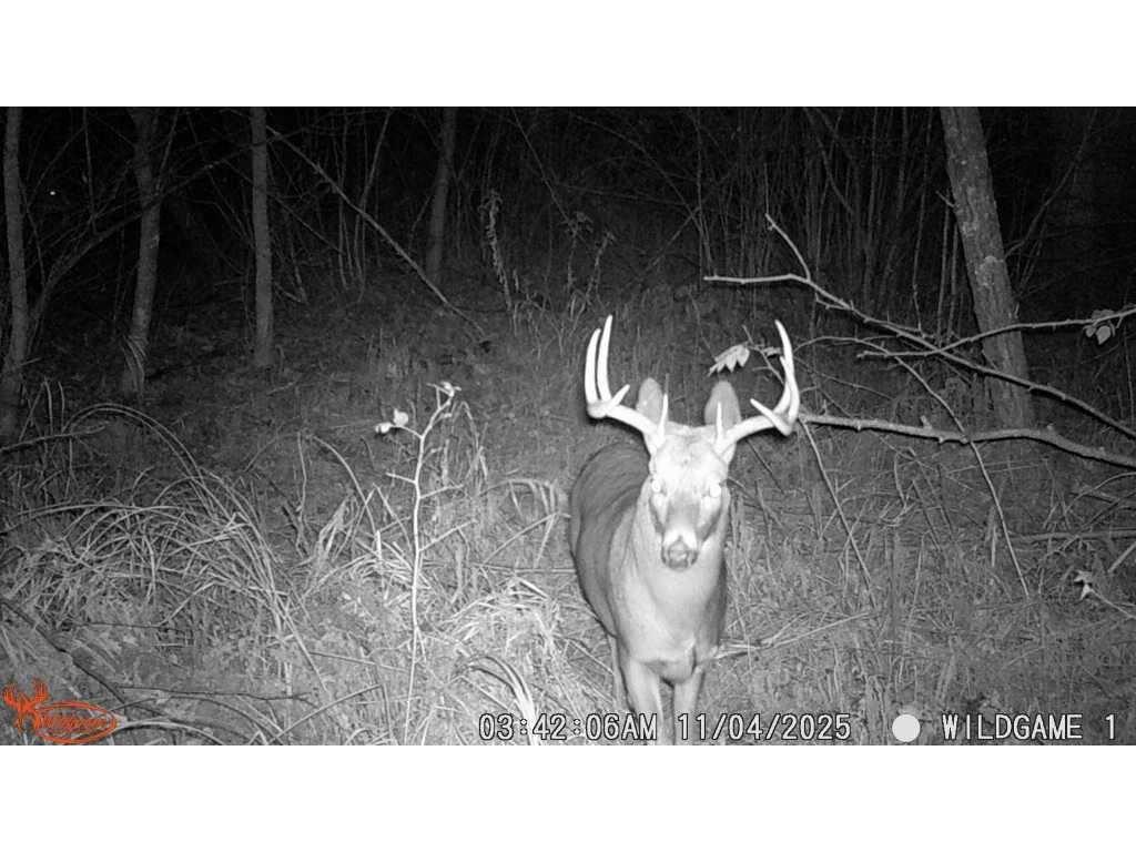 4926 Iroquois Loop Meadowbrook Twp MN 56466 6819993 image31